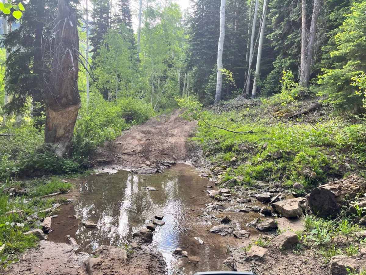 Green Springs Trail photo 5