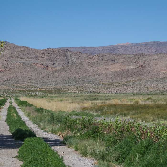 Near Dove Dike Trail Near Dove Dike Trail