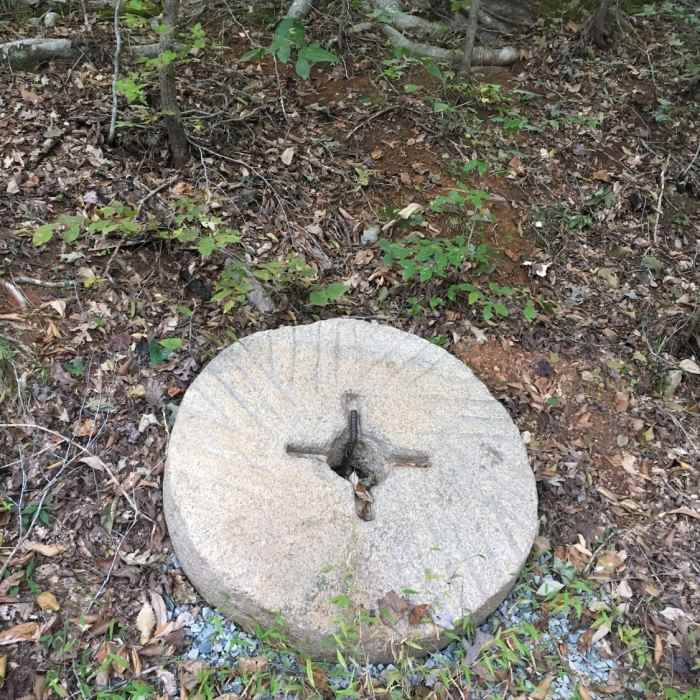 Near Duke Korstian Loop