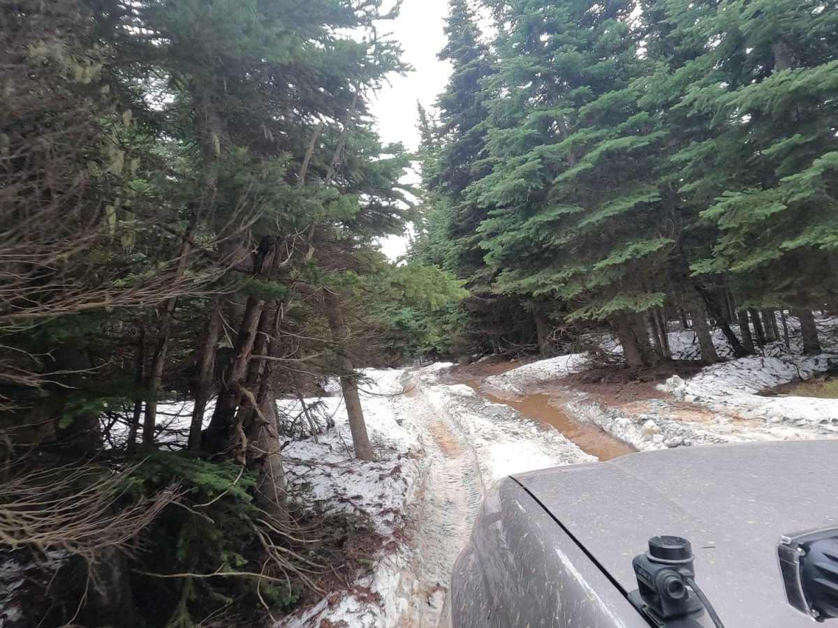 4W CJRs Hideout - NF1701-530 photo 3