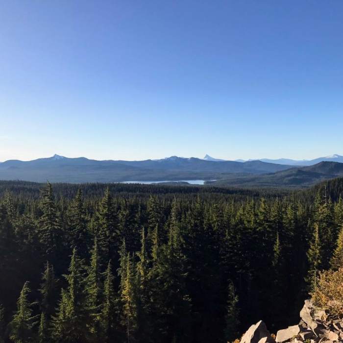 Near Diamond Lakes Loop