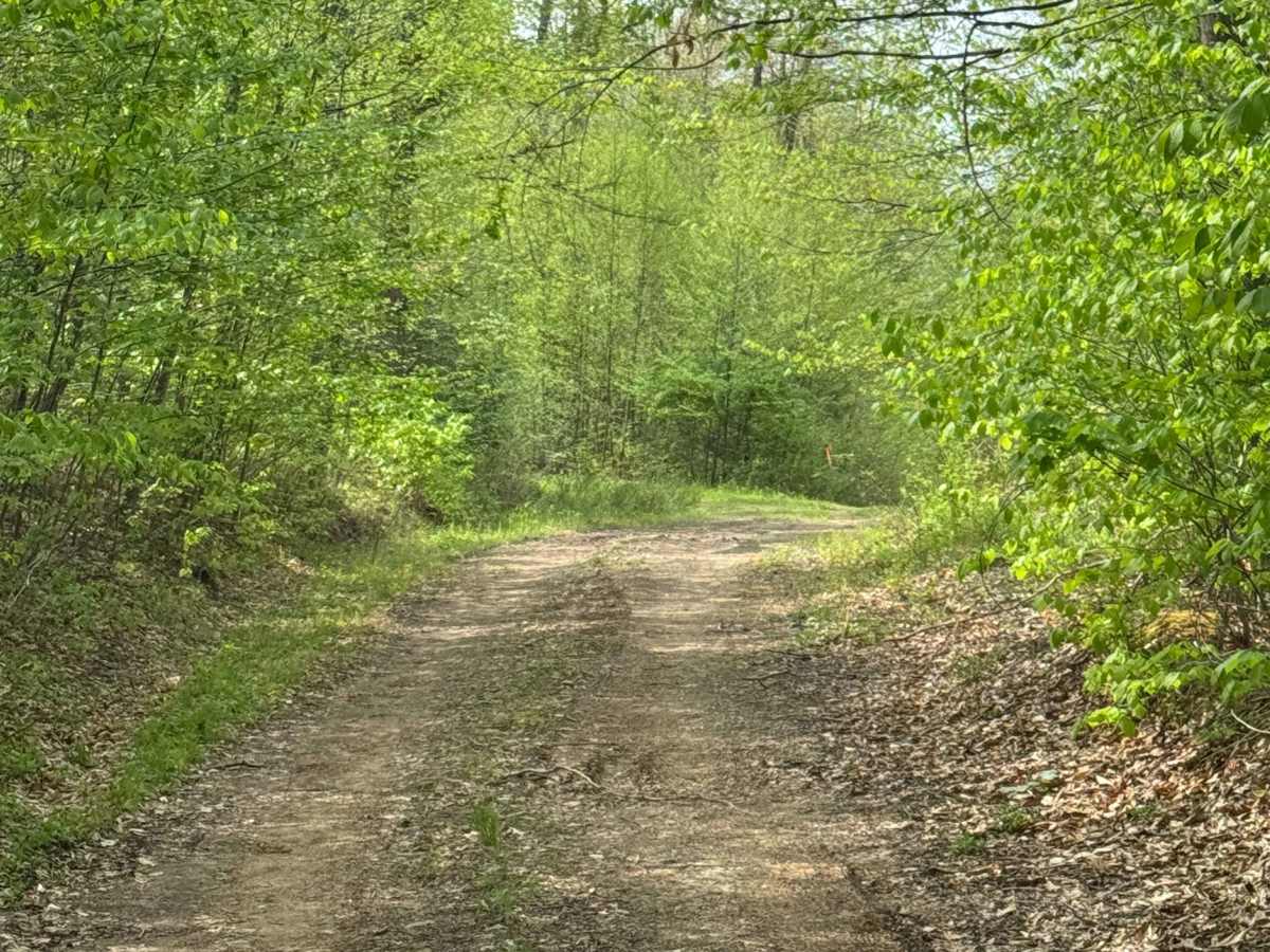 Big Trestle Road photo 5