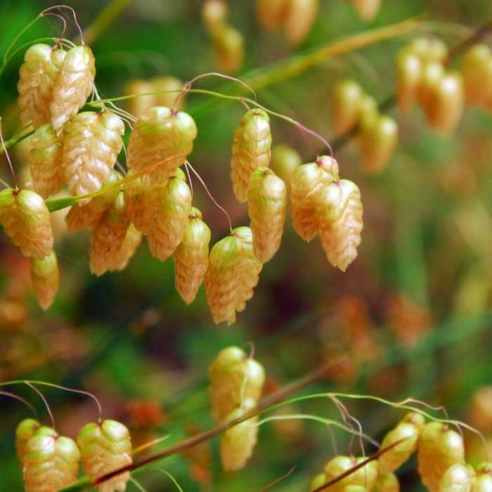 Near Muir Woods via Deer Park Fire Road