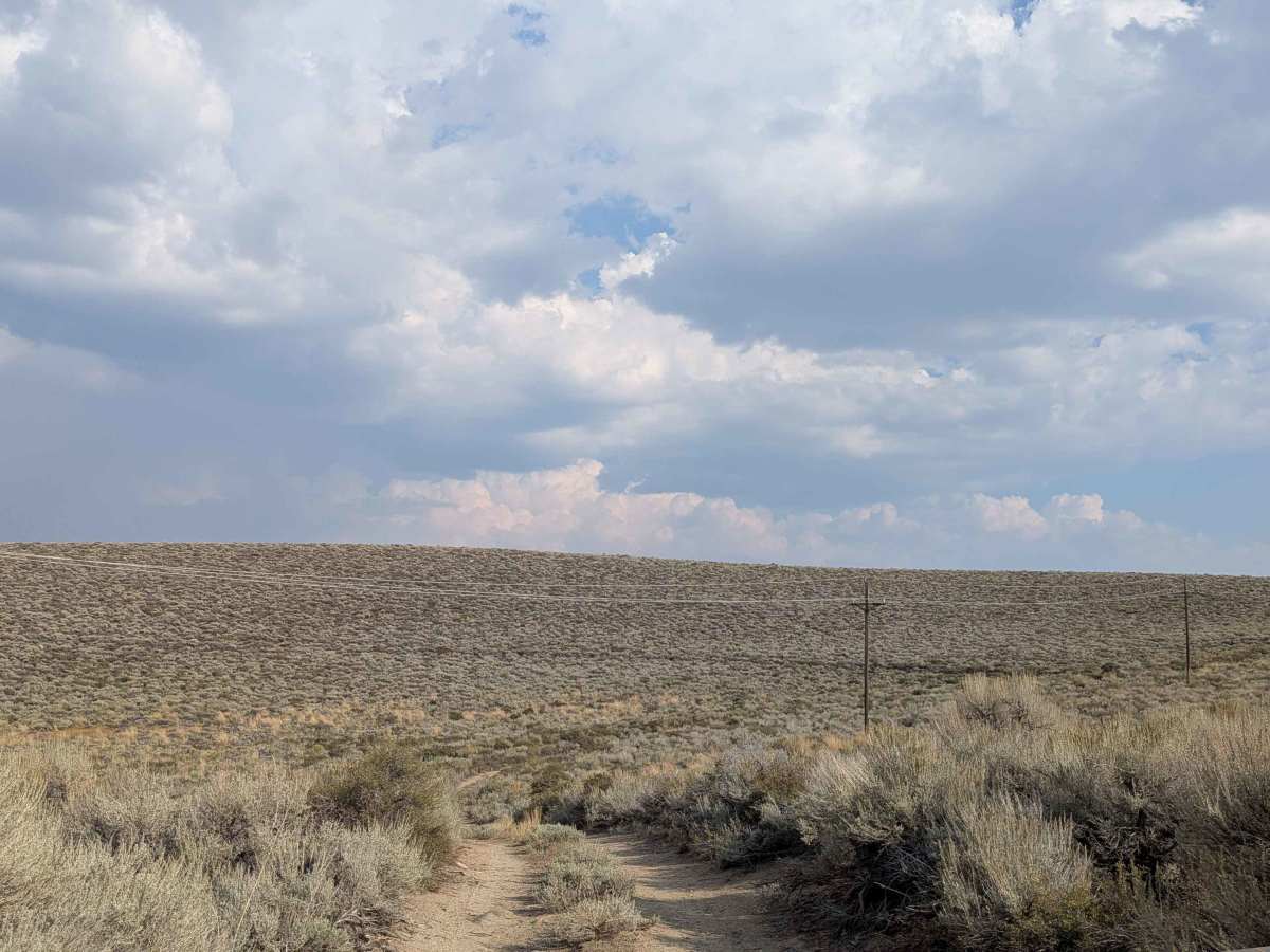 Pole Line Cutoff  photo 2