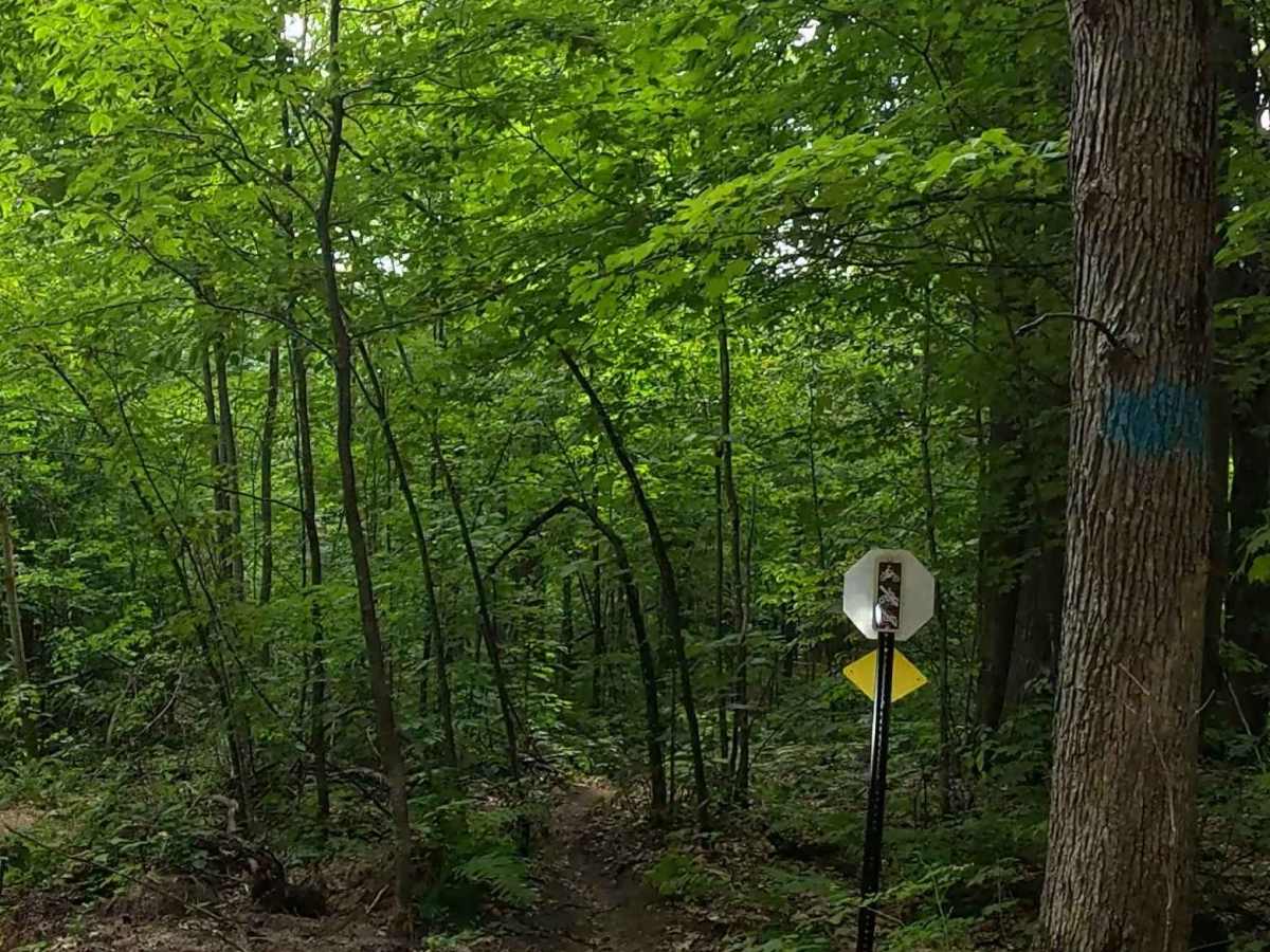 Mathwig Cut trail photo