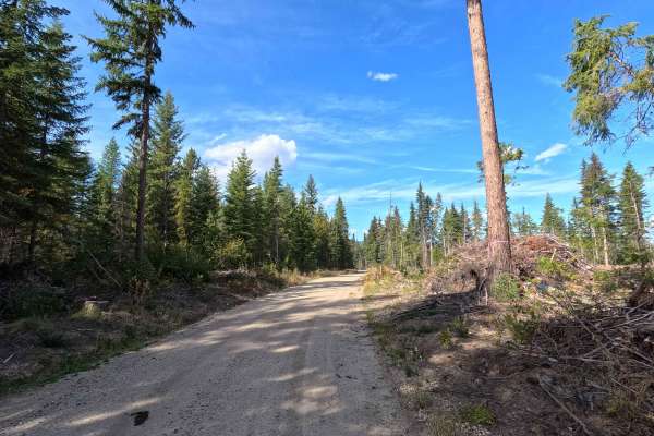 East Huckleberry - FS 1700444
