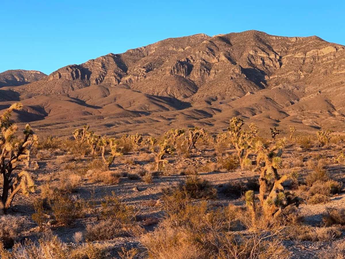 Sand Wash Road photo 6