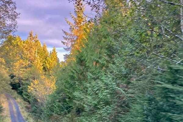 Lake Bay Road - FS 3030500
