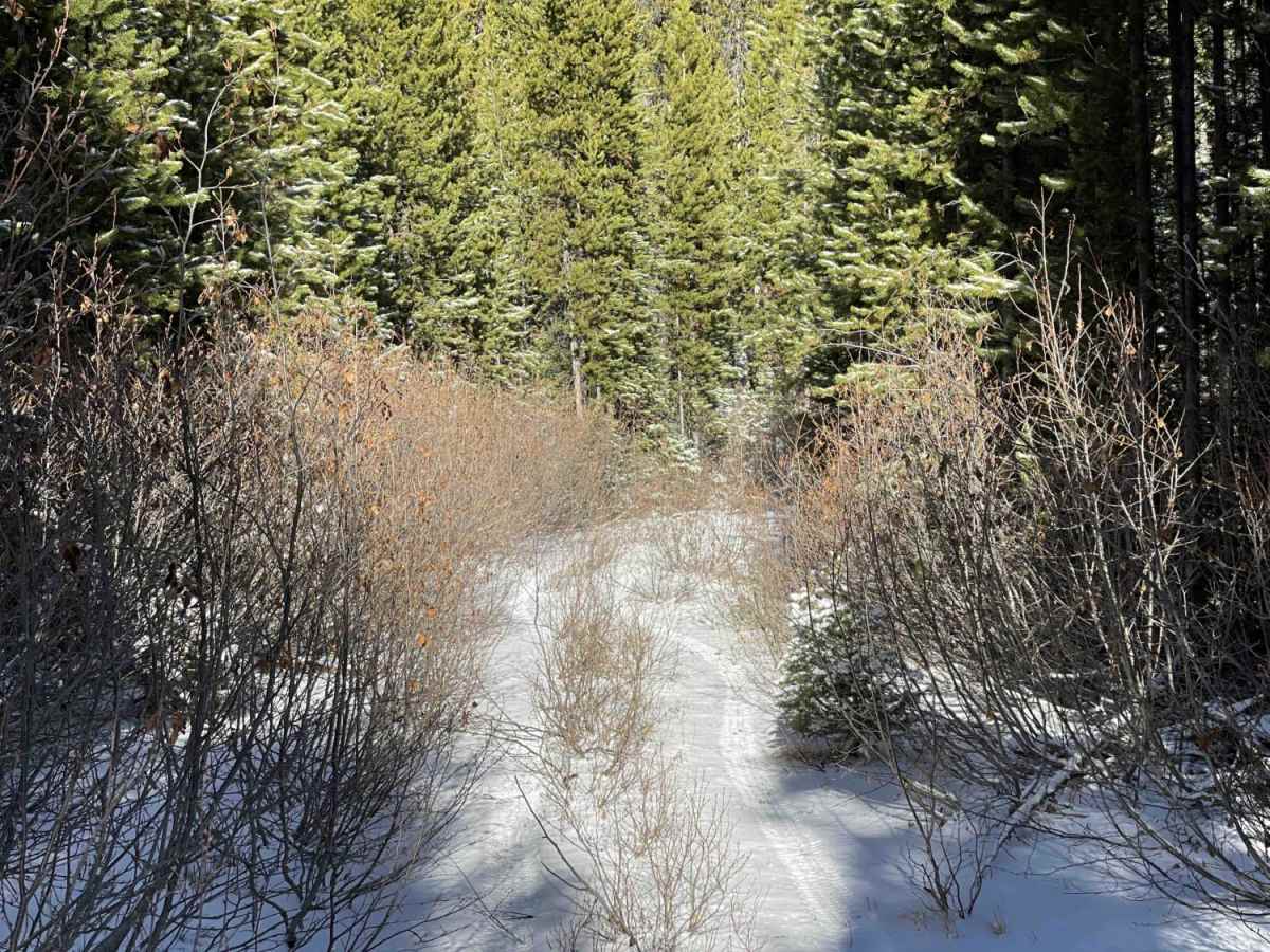 Coal Creek ATV/UTV photo 2