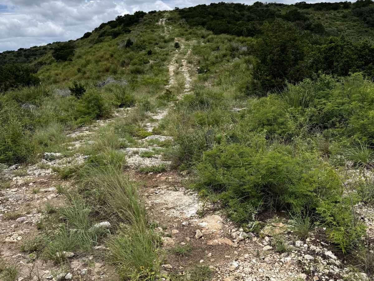 Star Gazer trail photo