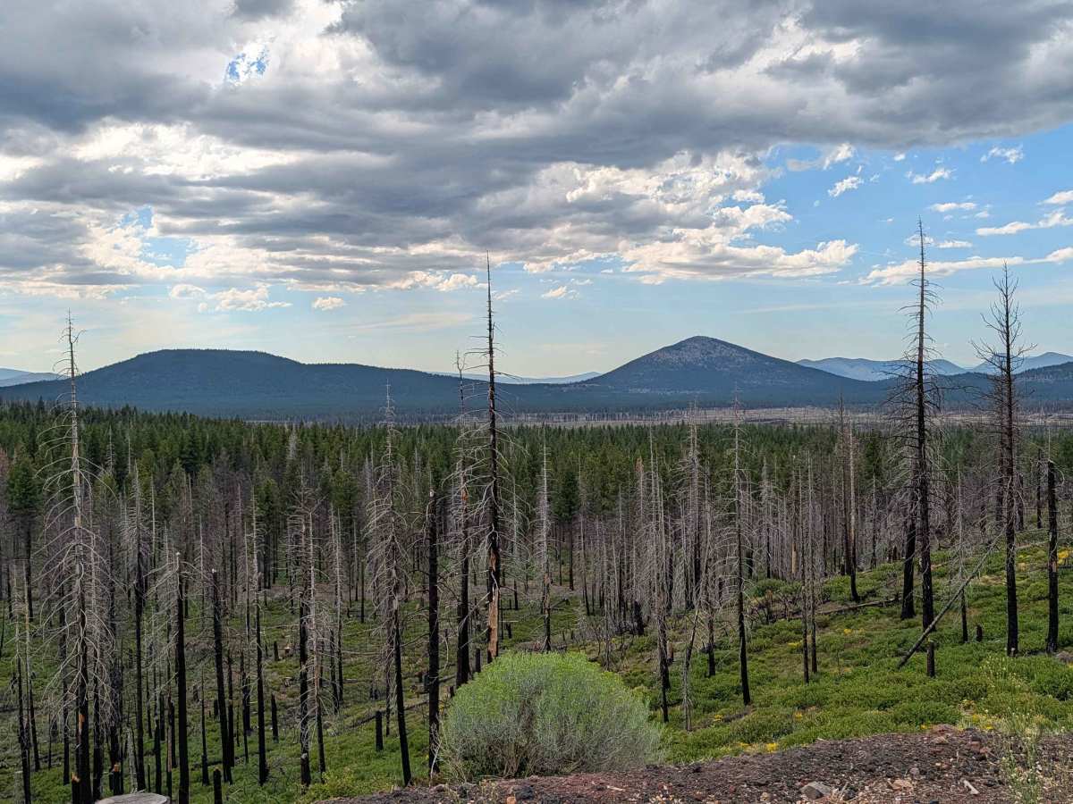 Lava West - FS 44N01 photo 6