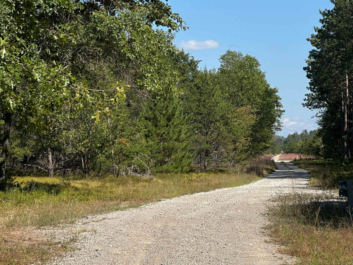 Bear Loop photo 3