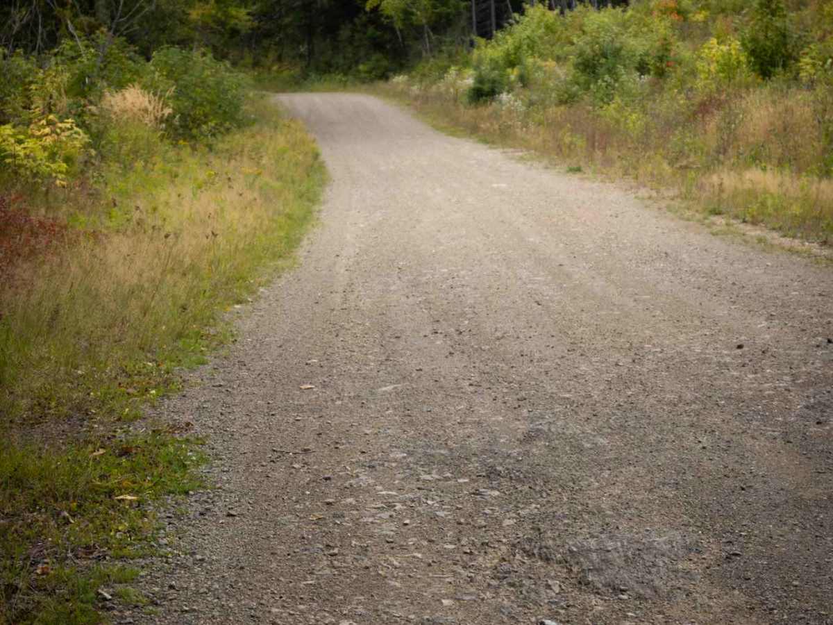 Whitebirch Road - Trail 507 photo 3