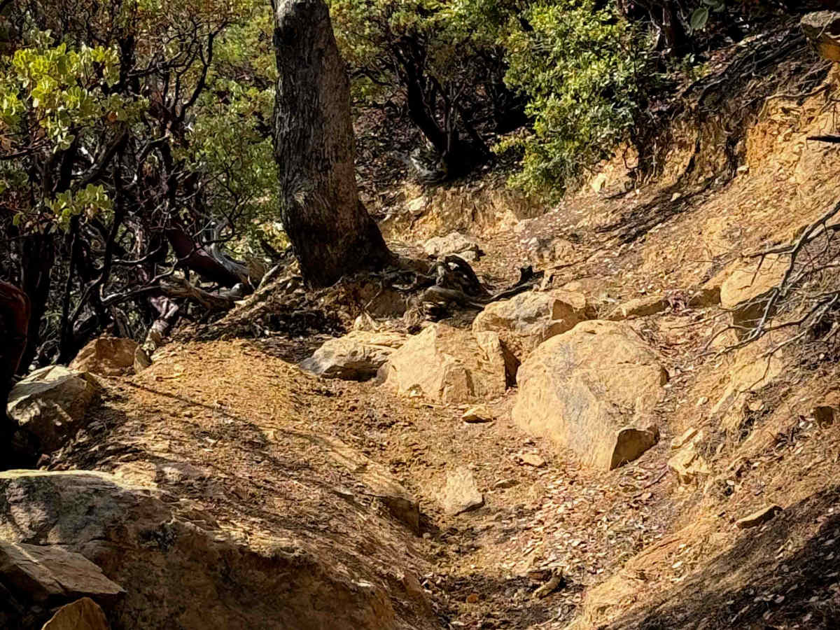 15EV62 trail photo