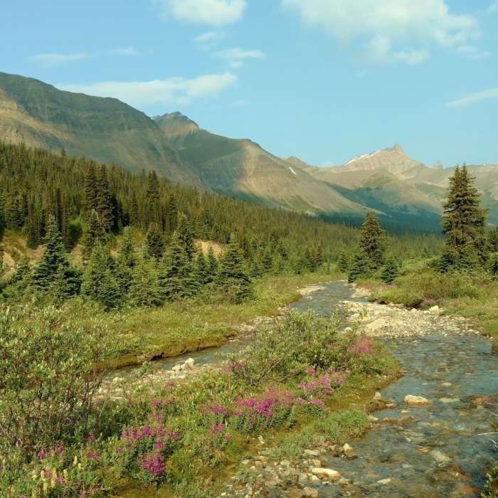 Near Poboktan Pass Trail