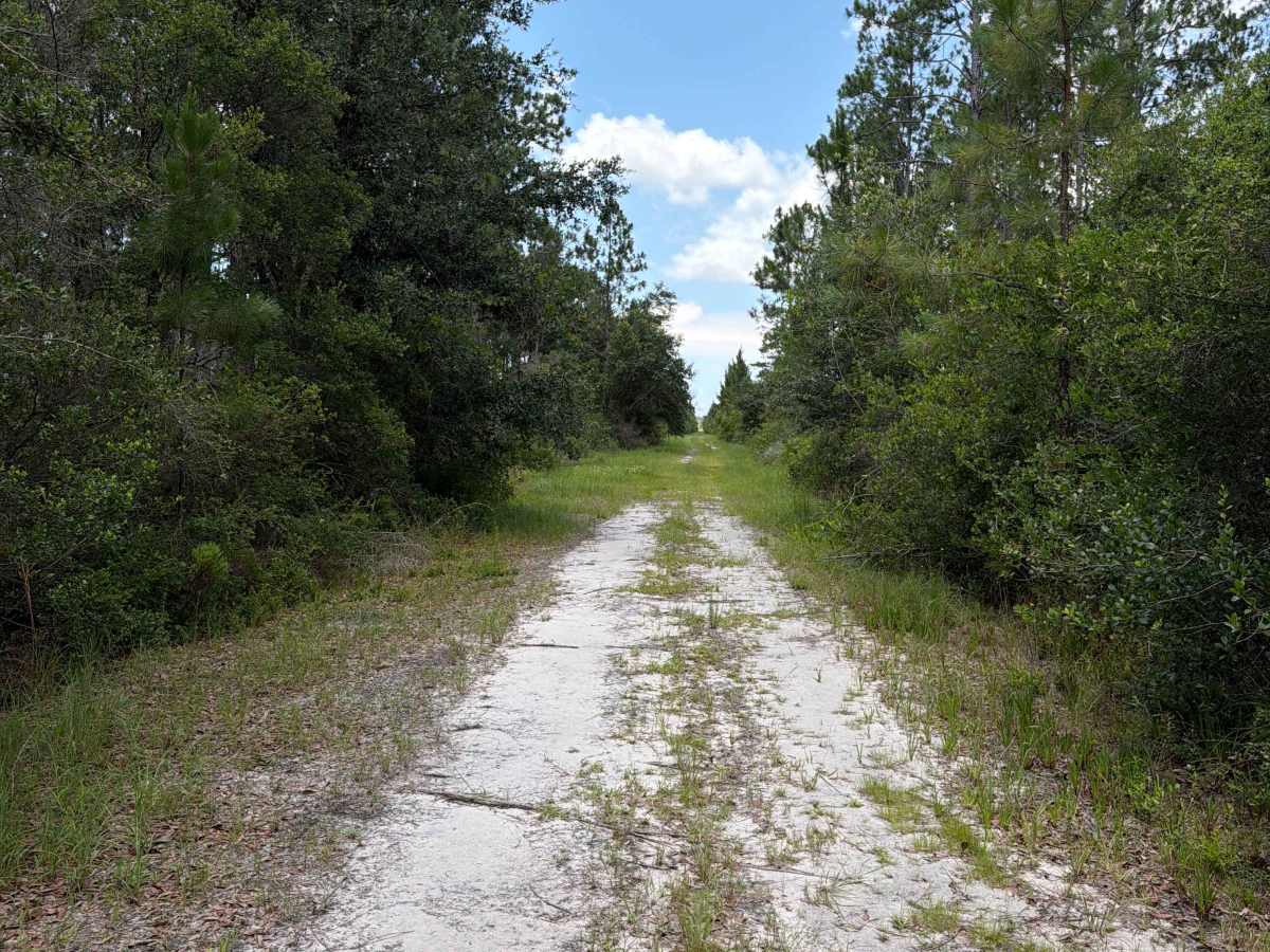 FS138A trail photo
