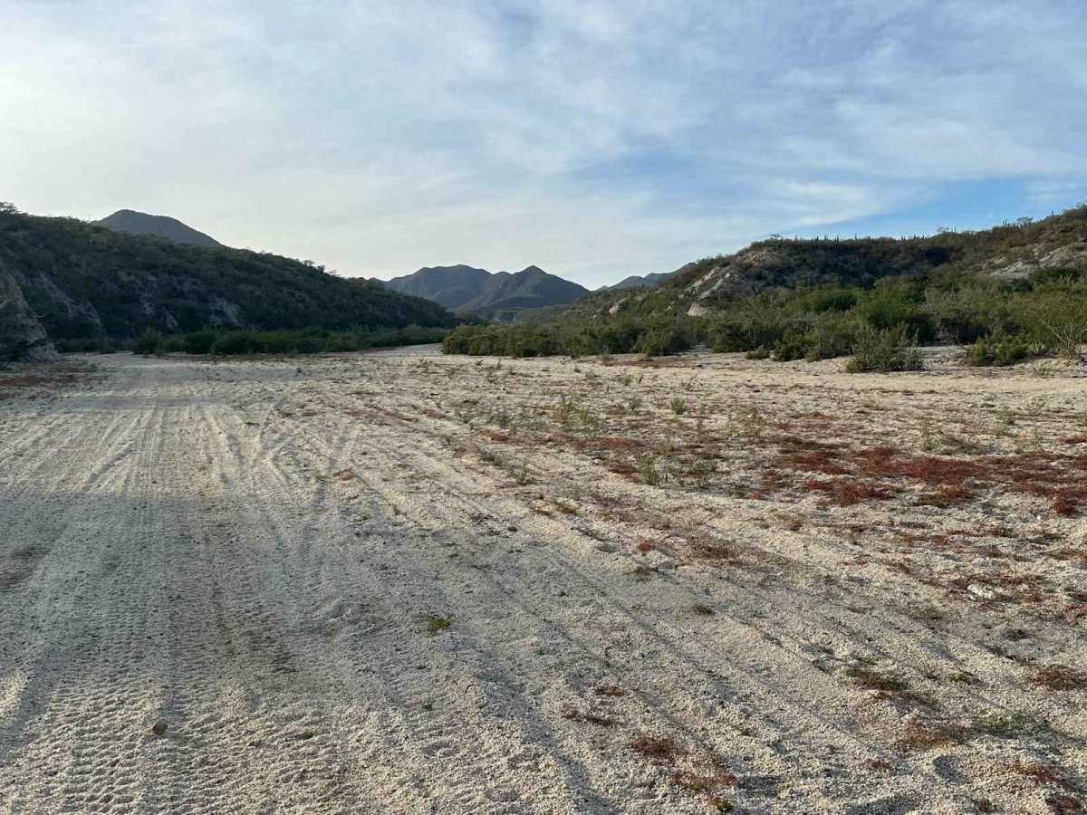 Los Barriles to San Bartolo  photo 2