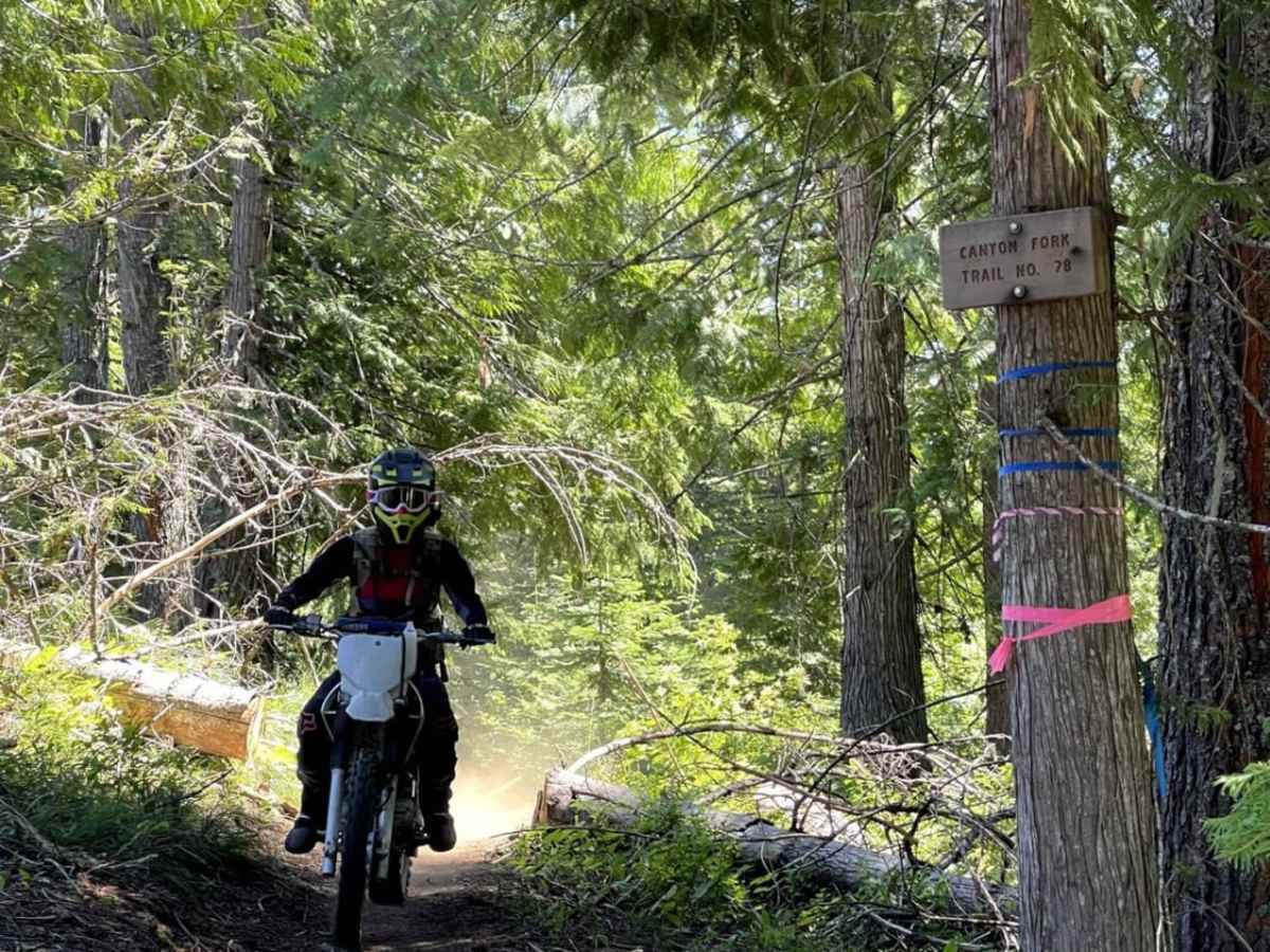 Canyon Fork photo 6