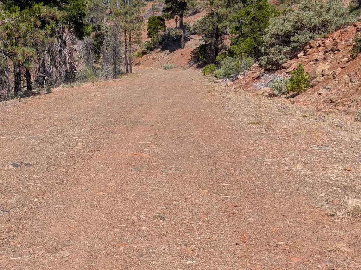  Smokey Creek Road - FS 29N49 photo 6