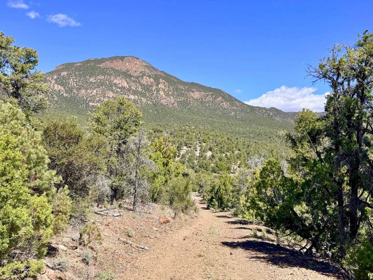 Tulle Creek Road - FS 44422 trail photo