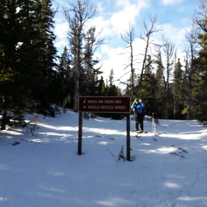 Near Coney Flats Road #507.1