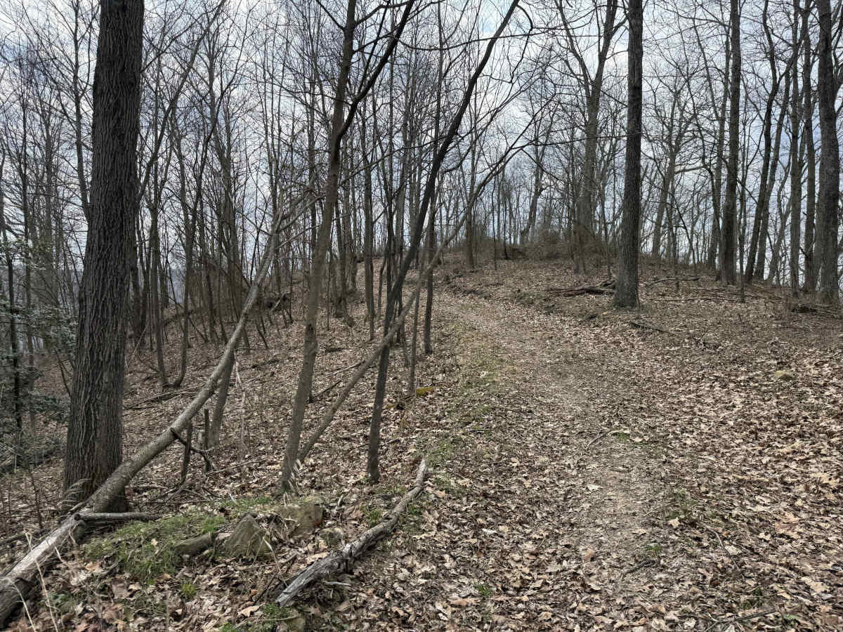 Q16 photo 2