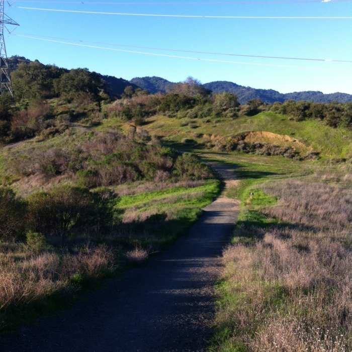 Near Coyote Ridge Trail