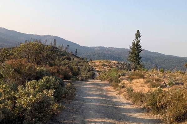 Feliciana Mountain Road - FS 4S012