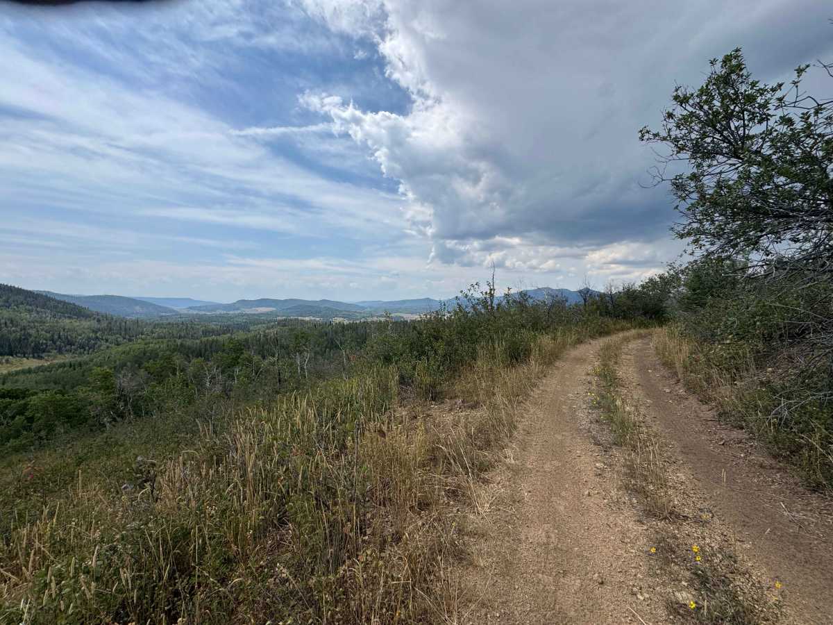 Upper Ways Gulch Road trail photo