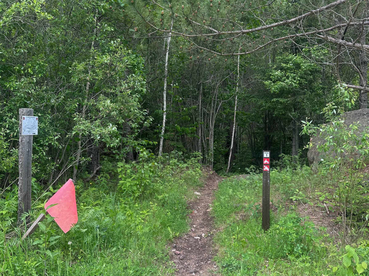 Alger Grade - Trail 1 trail photo