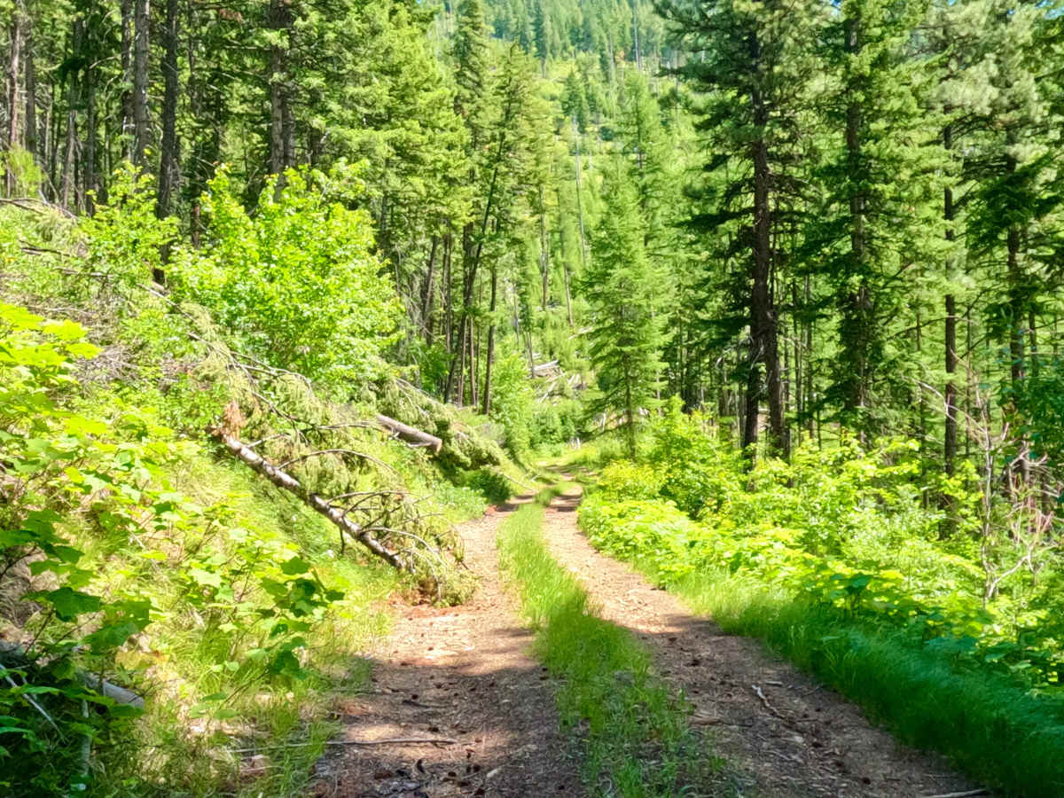Deep Gulch Route photo 4