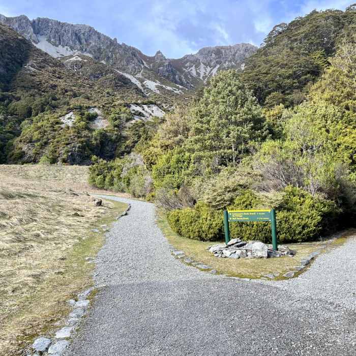 Near Red Tarns Track