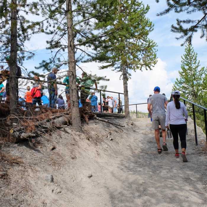Near Grand Prismatic Spring Overlook
