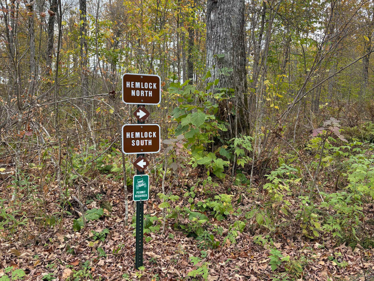 Hemlock North/South photo 5