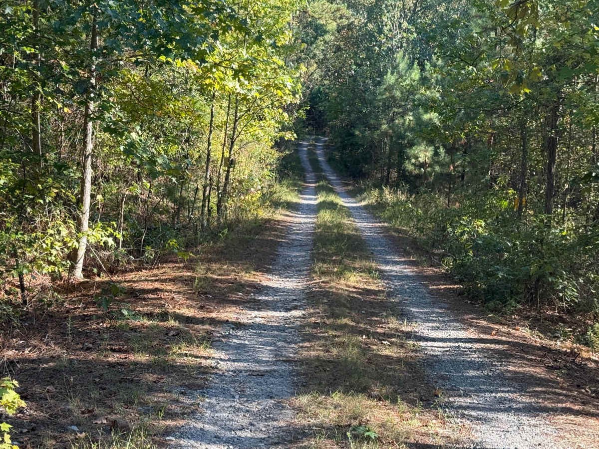 Shack Creek photo 3