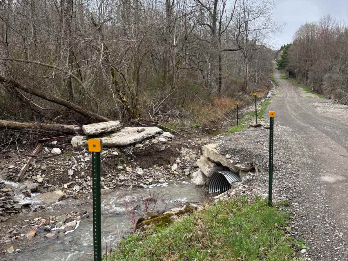 Fisher Road photo 2