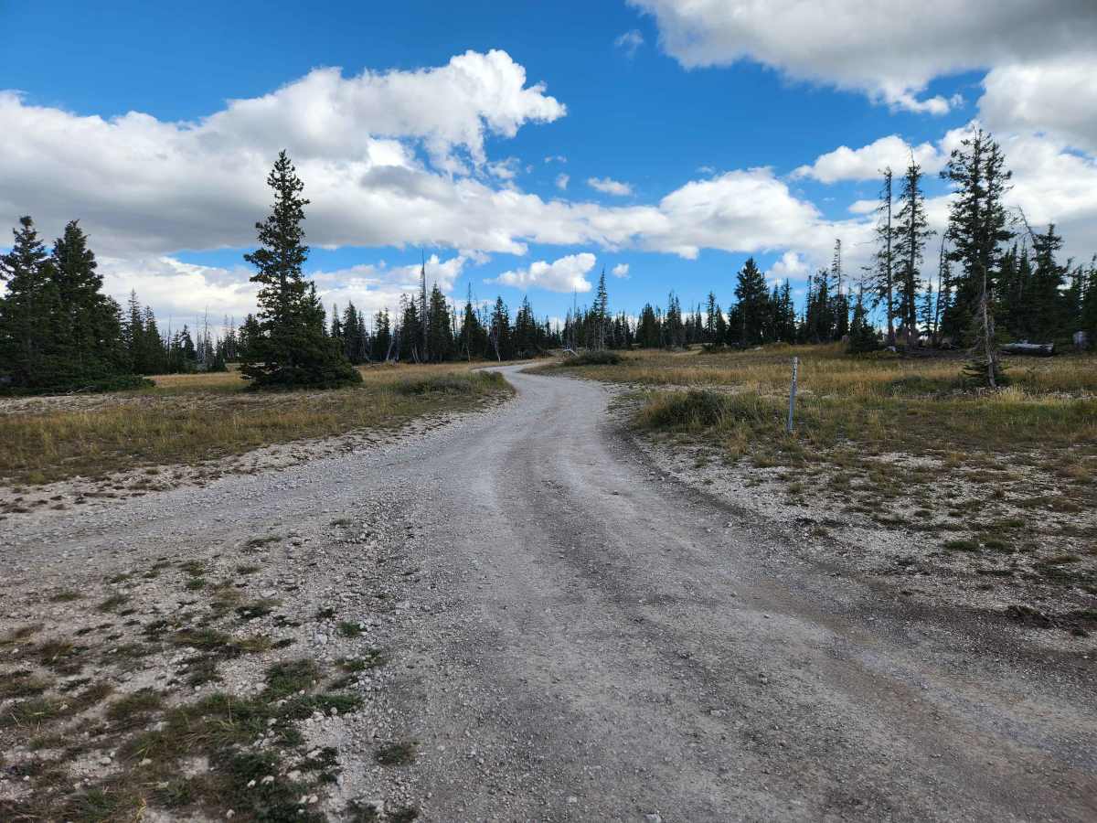 Blue Lake Campground - FS 50013 photo 4