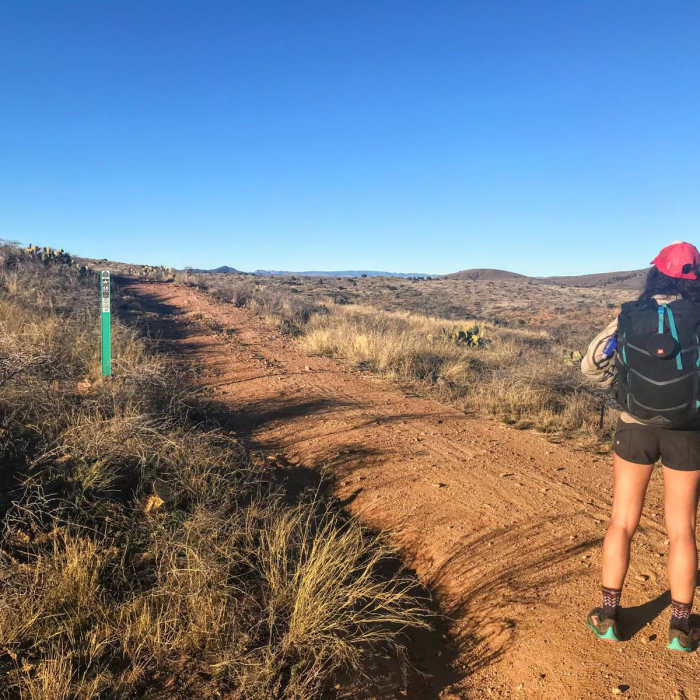 Near Black Canyon Trail: Big Bug Trailhead to Bumble Bee