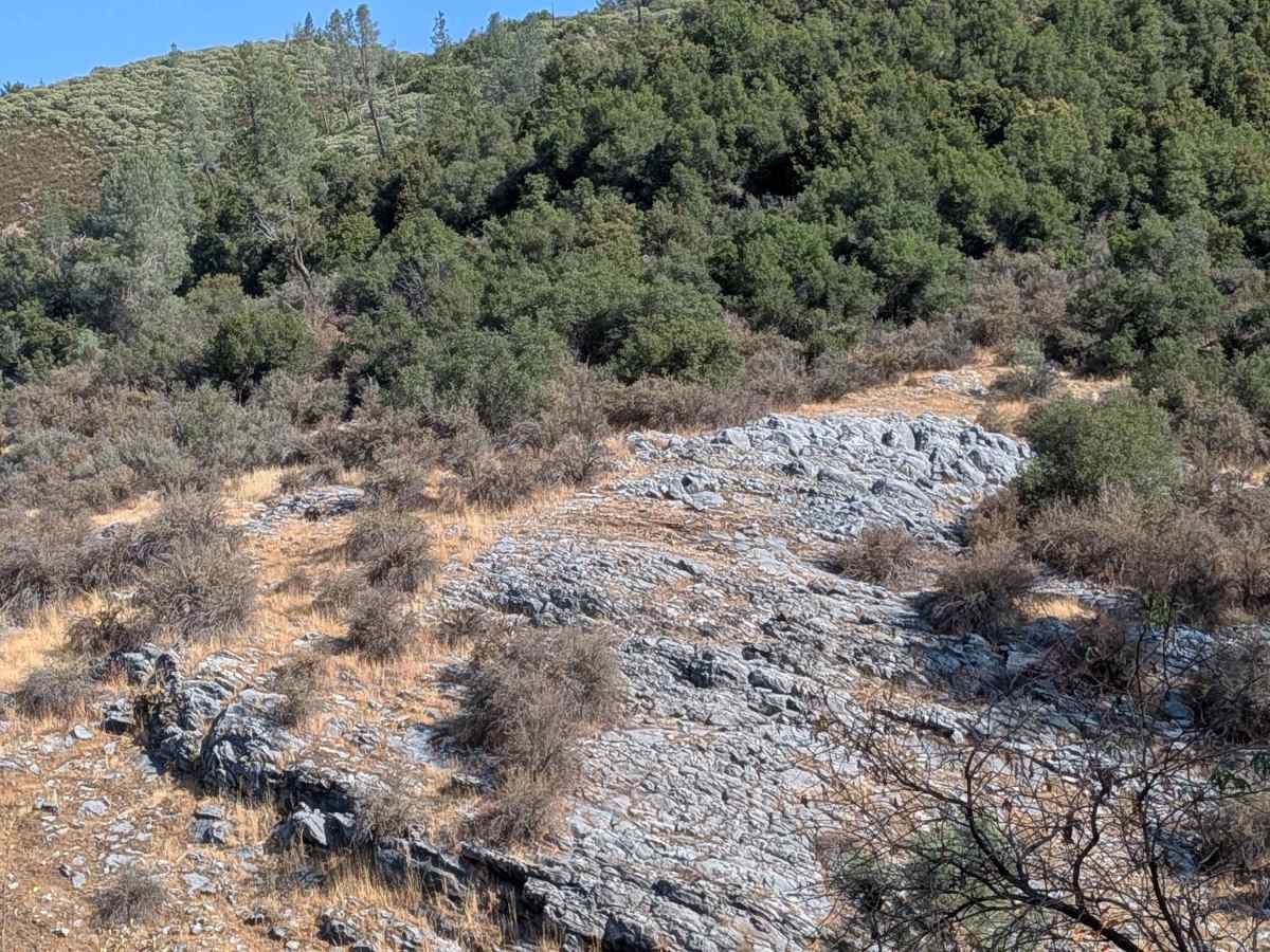 Bull Creek Road North photo 2