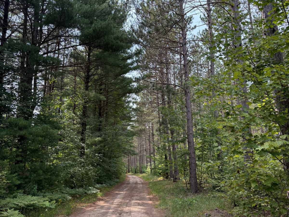TR Trail photo 3