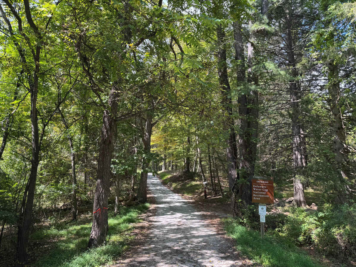 Caddo Access Road trail photo