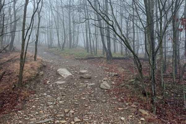 OHV 18 - Rock Run Recreation Area