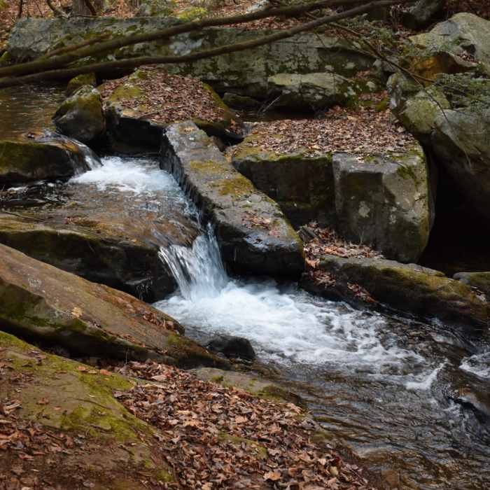 Near Audubon Loop Trail Near Audubon Loop Trail