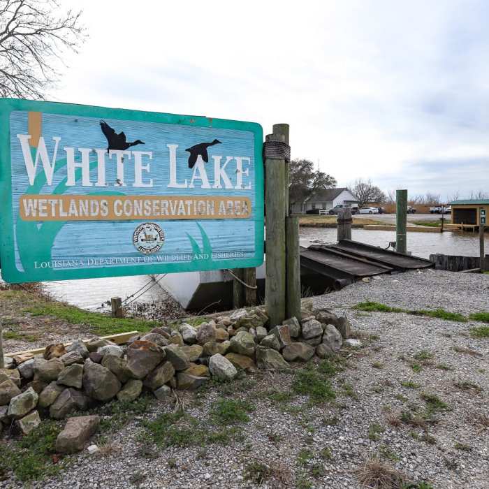 Near White Lake Wetlands Conservation Area Birding + Nature Trail