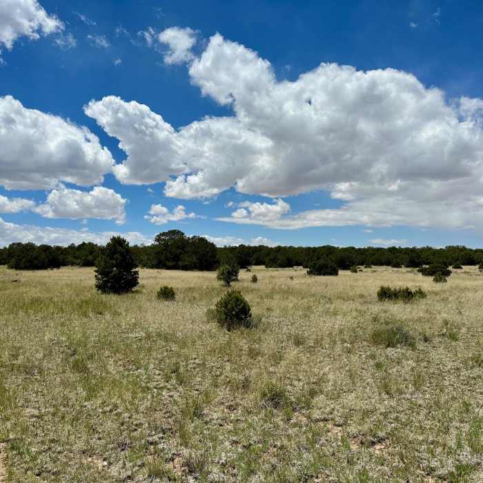 Near CDT: New Mexico Section 23