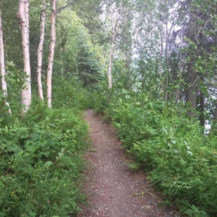 Near Byers Lake - Hike to Beemans Cabin Near Byers Lake - Hike to Beemans Cabin