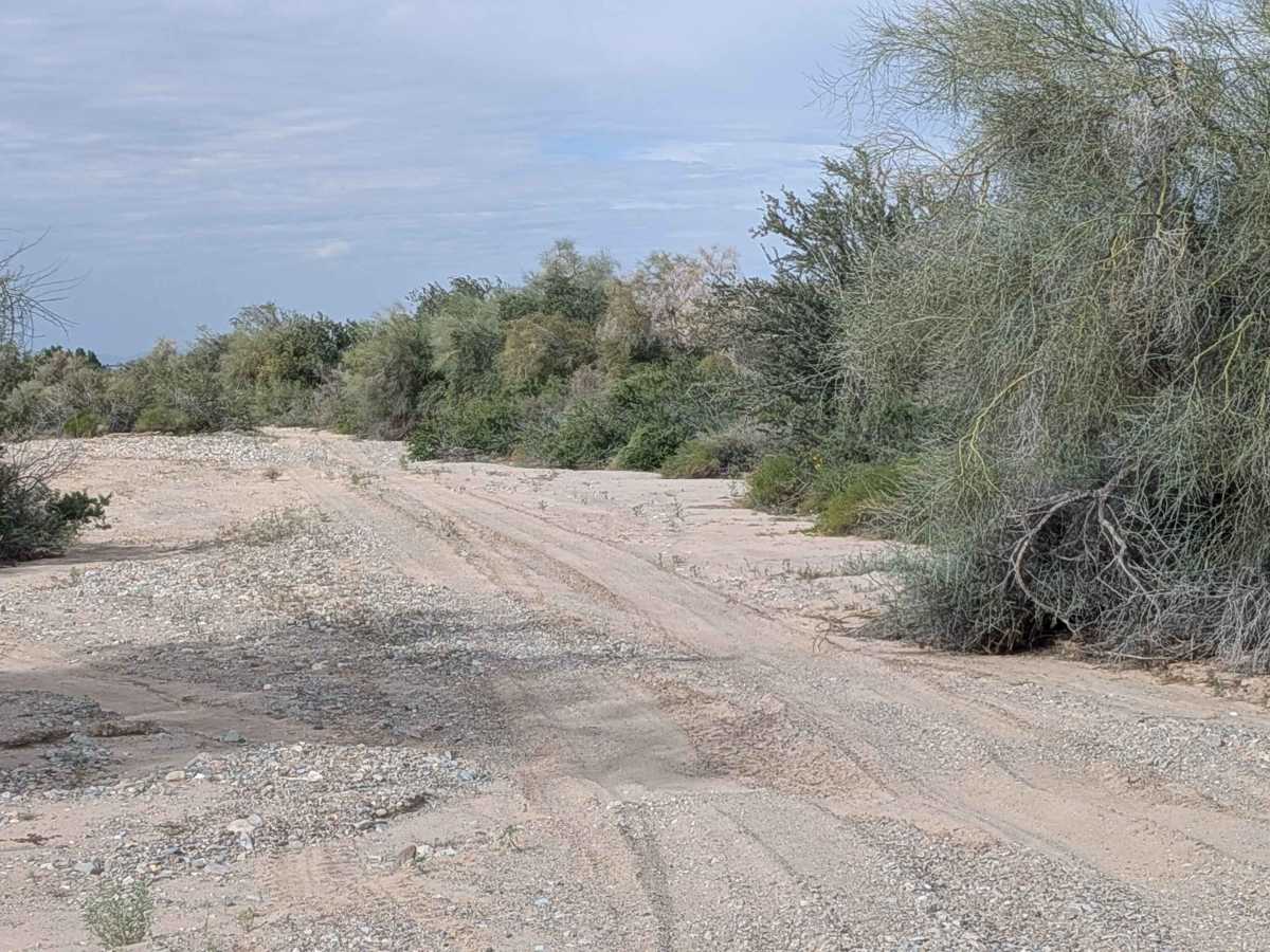 EC1238 Loop trail photo