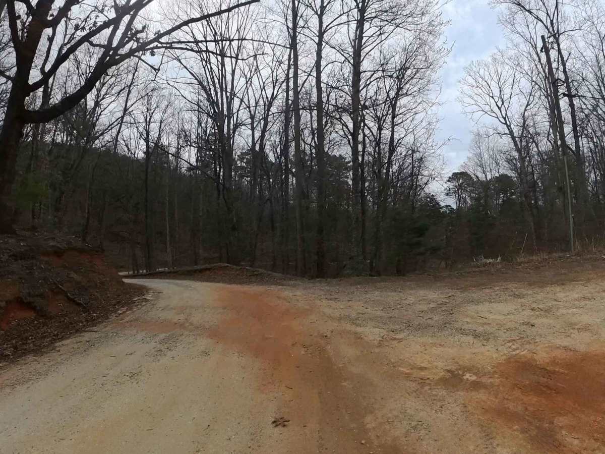Wolf Creek Church Road - FS 515 photo 2
