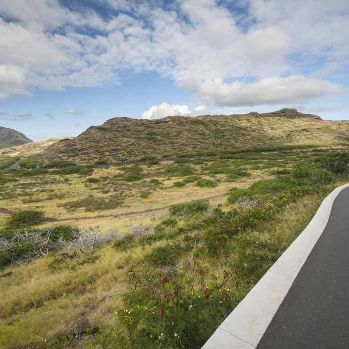 Near Makapu'u Point + Lighthouse Hike