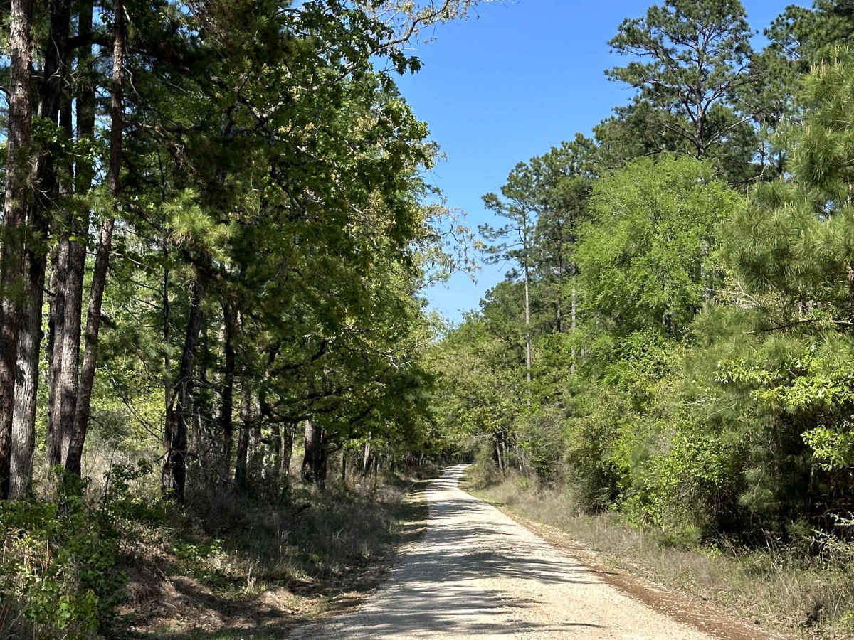 Elmer Smith Road photo 3